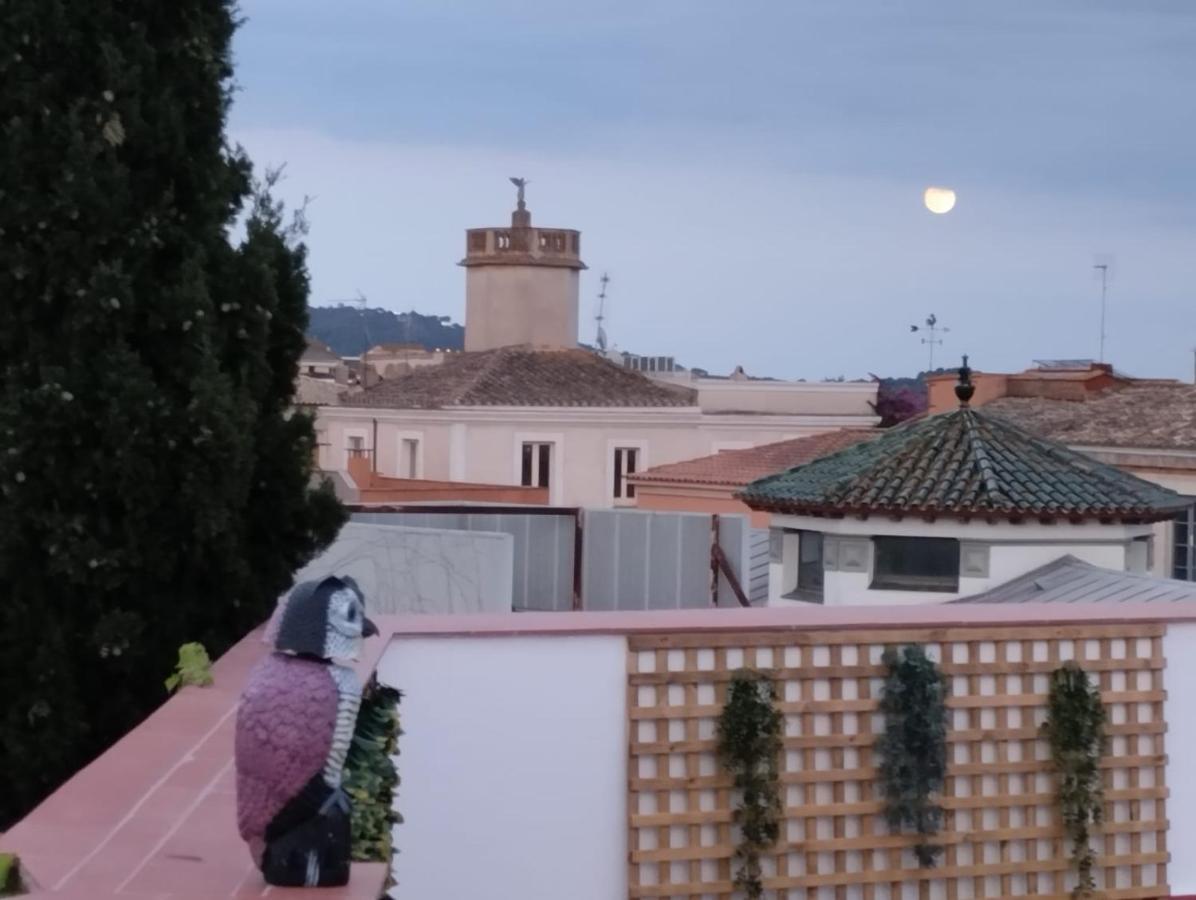 Apartaments L'Arc Palafrugell Zewnętrze zdjęcie